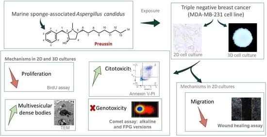 Effects and Mechanisms of Action of Preussin, a Marine Fungal ...