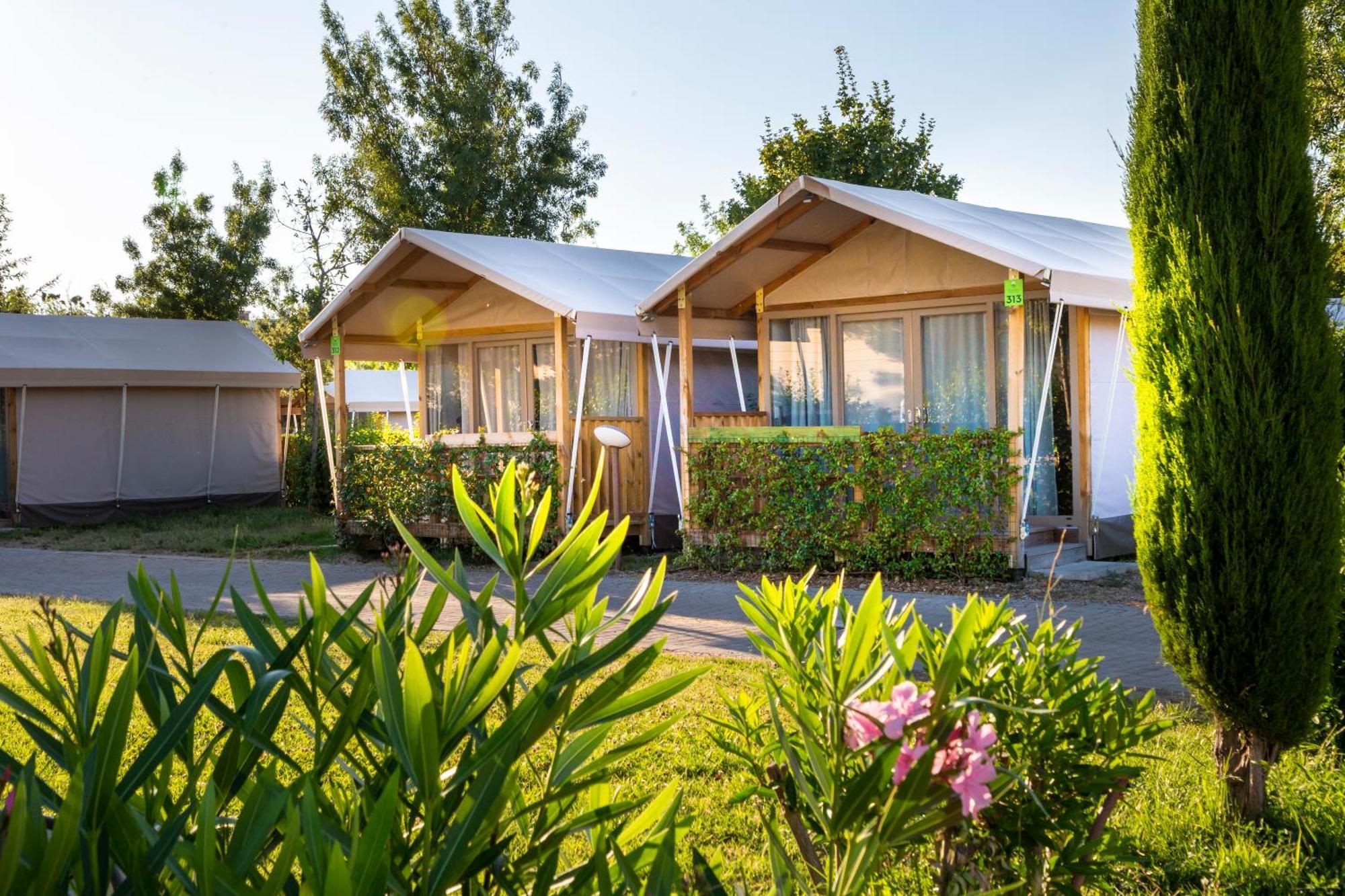 Urban Safari Tent