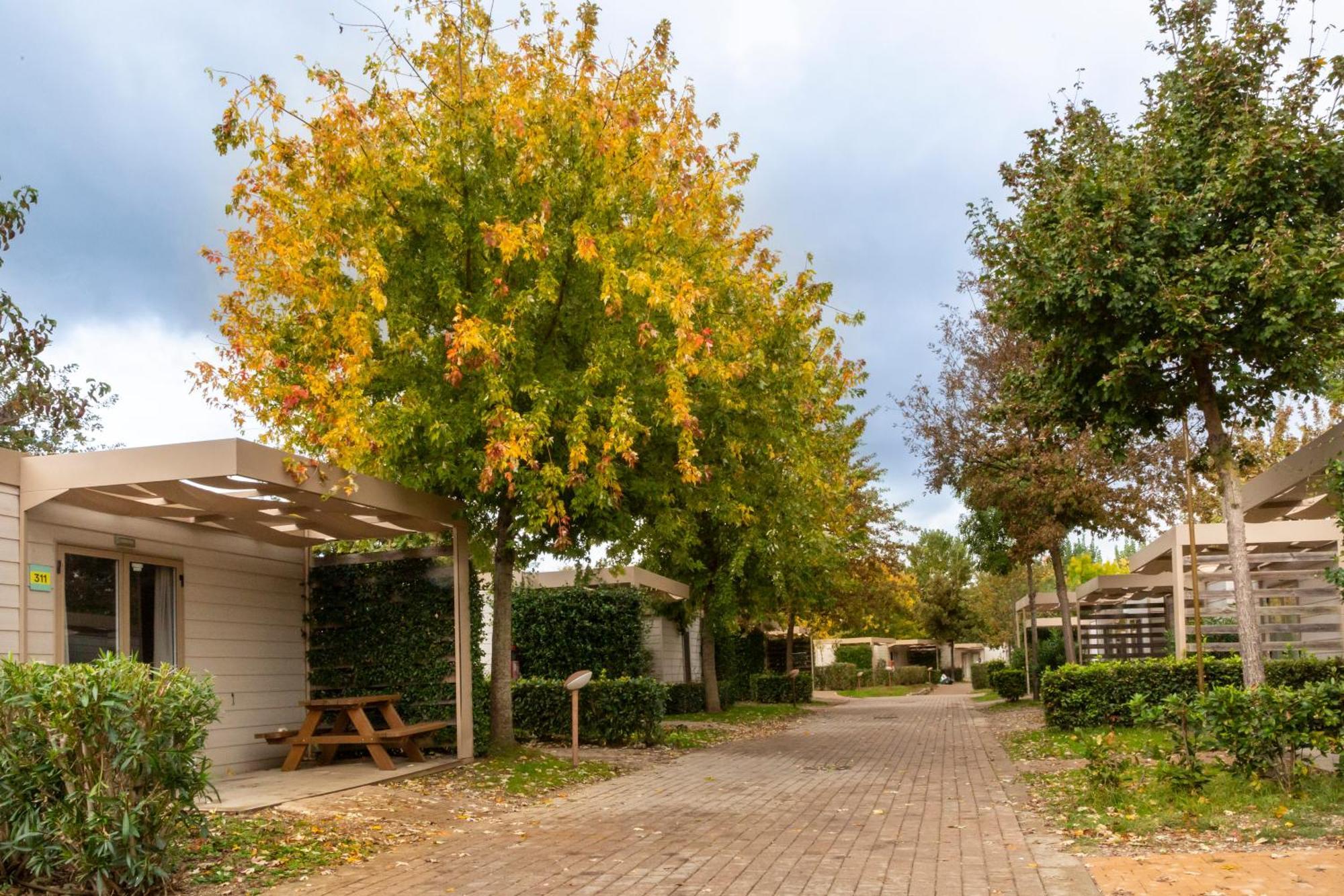 Deluxe Bungalow